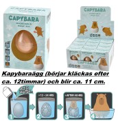  Kapybaraägg