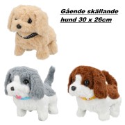 Hund (Gående)