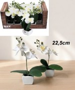 Konstväxt Orkidé 22,5cm
