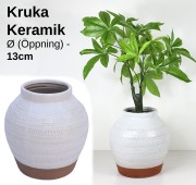 Kruka BENITO